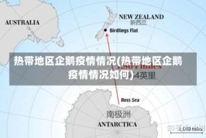 热带地区企鹅疫情情况(热带地区企鹅疫情情况如何)