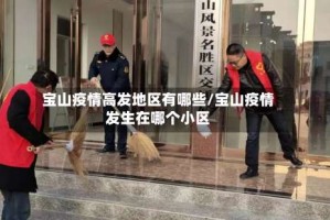 宝山疫情高发地区有哪些/宝山疫情发生在哪个小区