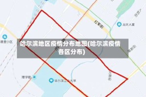 哈尔滨地区疫情分布地图(哈尔滨疫情各区分布)