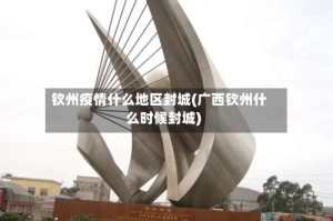 钦州疫情什么地区封城(广西钦州什么时候封城)