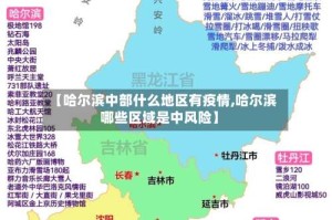 【哈尔滨中部什么地区有疫情,哈尔滨哪些区域是中风险】