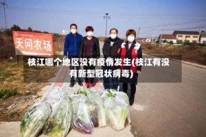 枝江哪个地区没有疫情发生(枝江有没有新型冠状病毒)