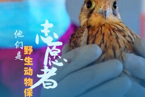 「青岛疫情最新消息今天又增加9人」〃青岛疫情最新通报今天