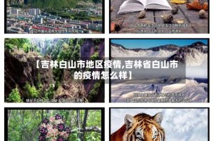【吉林白山市地区疫情,吉林省白山市的疫情怎么样】