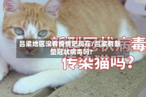 吕梁地区没有疫情吧现在/吕梁有新型冠状病毒吗?