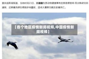 【各个地区疫情新闻视频,中国疫情新闻视频】