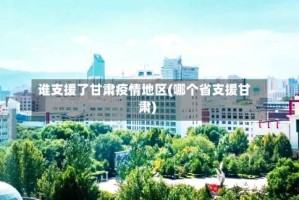 谁支援了甘肃疫情地区(哪个省支援甘肃)