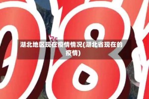 湖北地区现在疫情情况(湖北省现在的疫情)