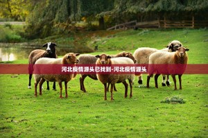 河北新冠感染610人,扩散关联8省,源头祸首指向这里