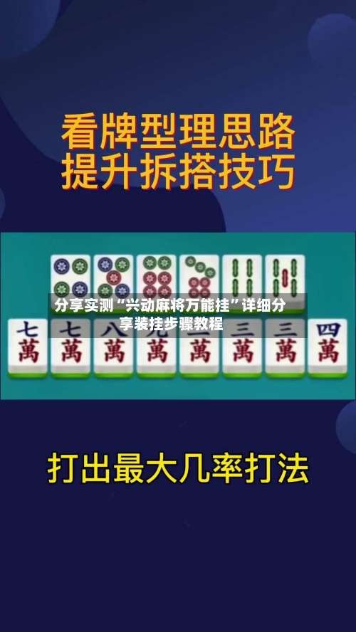 分享实测“兴动麻将万能挂	”详细分享装挂步骤教程-第3张图片