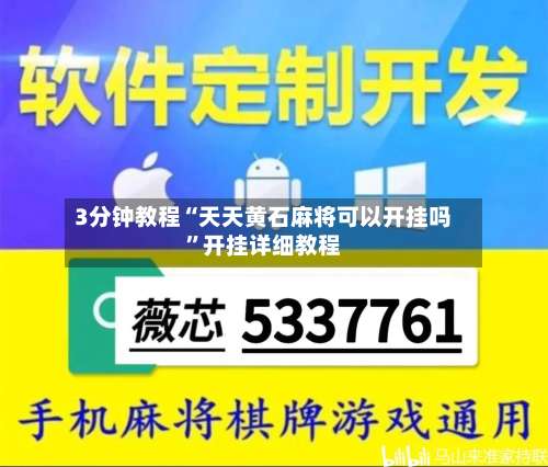 3分钟教程“天天黄石麻将可以开挂吗”开挂详细教程-第3张图片