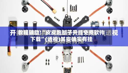 教程辅助!“皮皮跑胡子开挂免费软件下载	”(透视)其实确实有挂-第1张图片