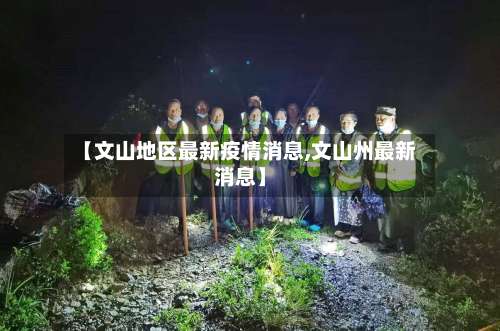 【文山地区最新疫情消息,文山州最新消息】-第2张图片