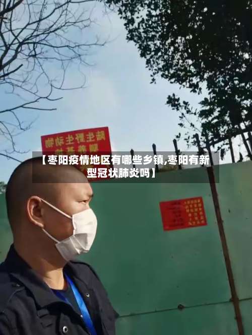 【枣阳疫情地区有哪些乡镇,枣阳有新型冠状肺炎吗】-第3张图片