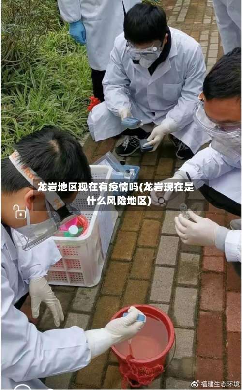 龙岩地区现在有疫情吗(龙岩现在是什么风险地区)-第3张图片