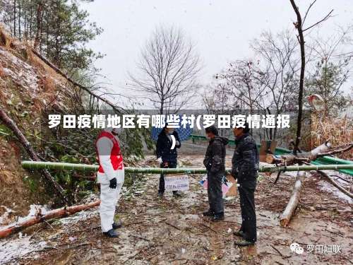 罗田疫情地区有哪些村(罗田疫情通报)-第1张图片