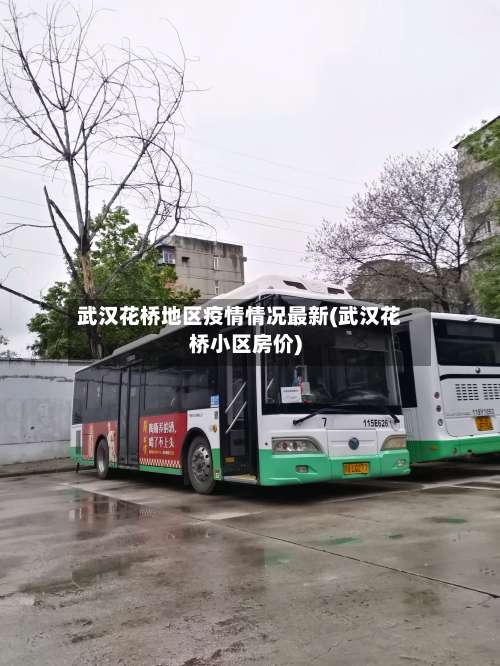 武汉花桥地区疫情情况最新(武汉花桥小区房价)-第1张图片