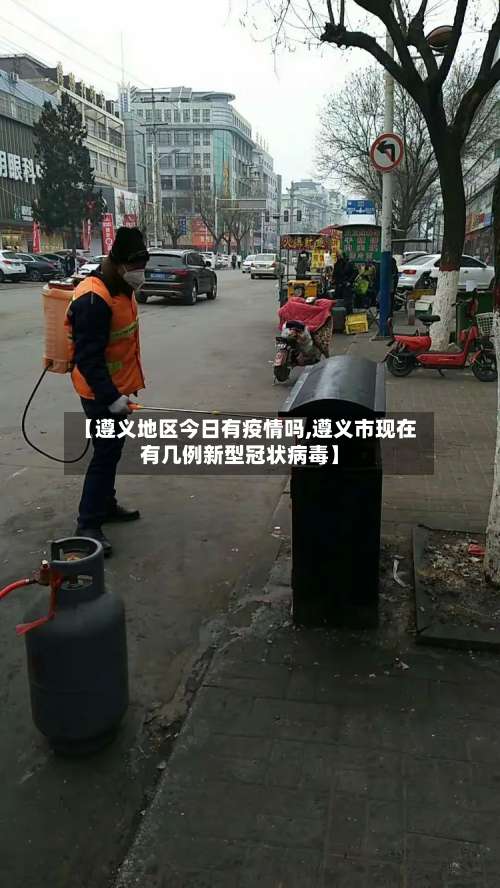 【遵义地区今日有疫情吗,遵义市现在有几例新型冠状病毒】-第3张图片