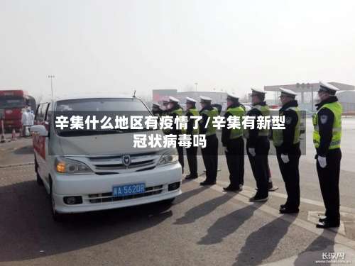 辛集什么地区有疫情了/辛集有新型冠状病毒吗-第2张图片