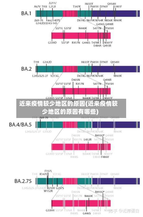 近来疫情较少地区的原因(近来疫情较少地区的原因有哪些)-第1张图片