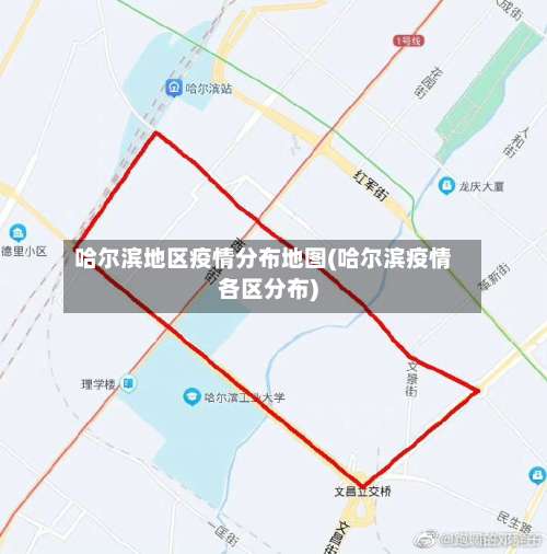 哈尔滨地区疫情分布地图(哈尔滨疫情各区分布)-第1张图片