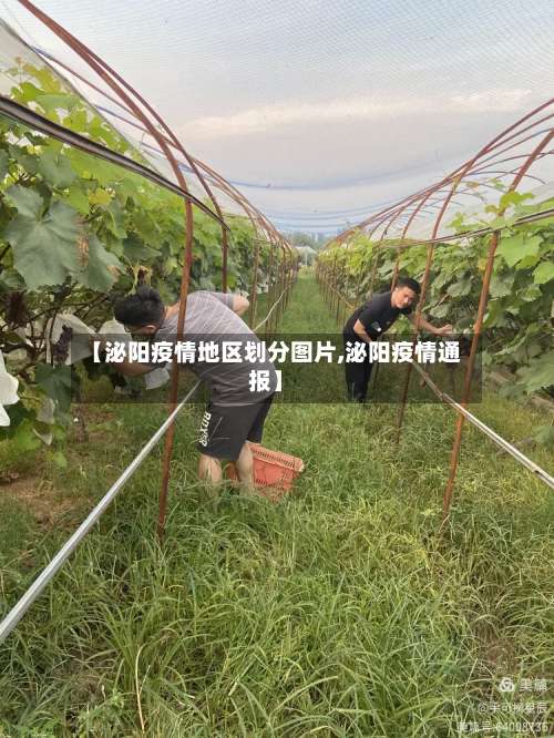 【泌阳疫情地区划分图片,泌阳疫情通报】-第1张图片