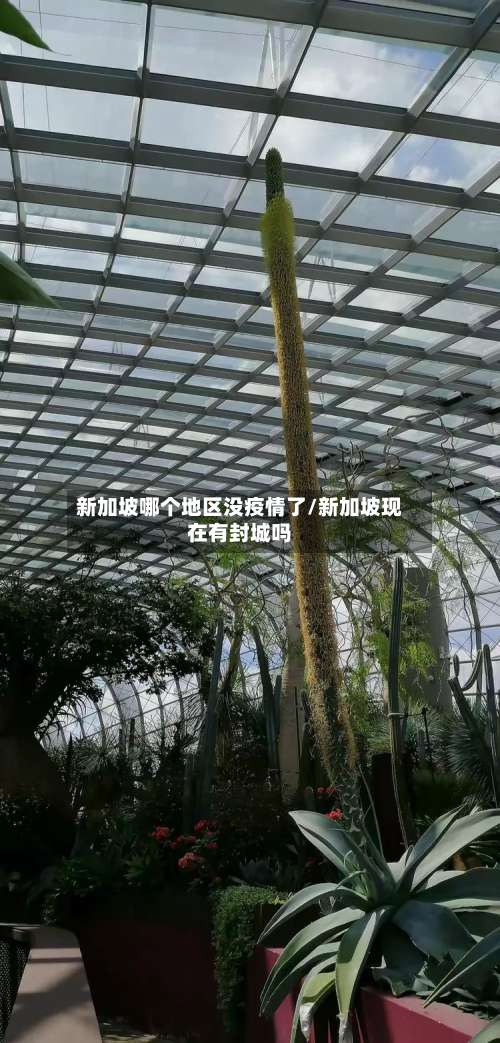 新加坡哪个地区没疫情了/新加坡现在有封城吗-第1张图片