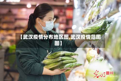 【武汉疫情分布地区图,武汉疫情范围图】-第1张图片