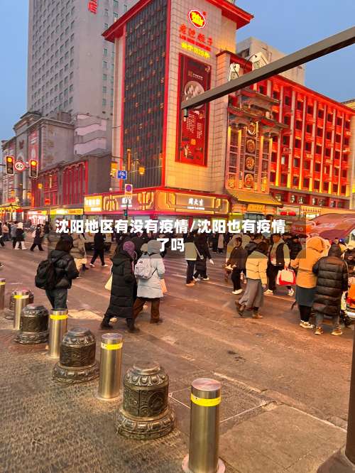 沈阳地区有没有疫情/沈阳也有疫情了吗-第3张图片