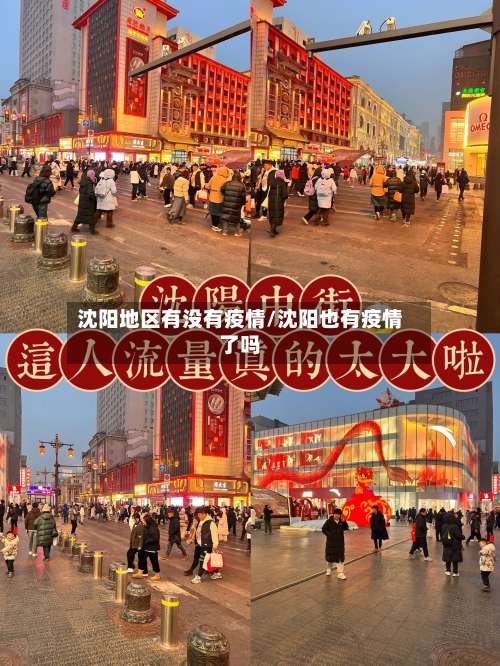 沈阳地区有没有疫情/沈阳也有疫情了吗-第2张图片