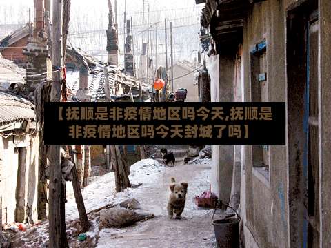 【抚顺是非疫情地区吗今天,抚顺是非疫情地区吗今天封城了吗】-第1张图片