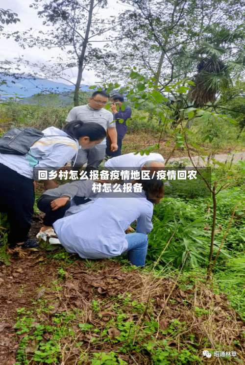 回乡村怎么报备疫情地区/疫情回农村怎么报备-第1张图片