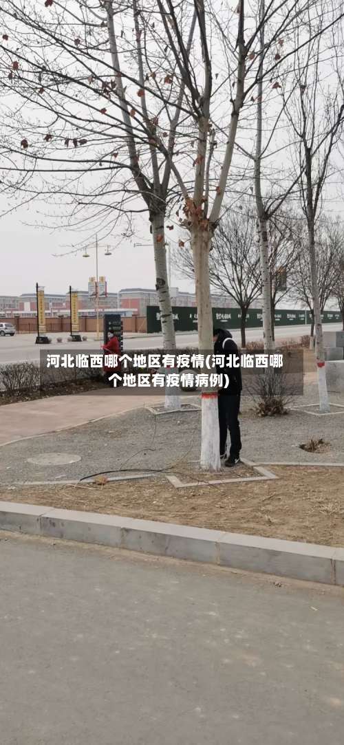 河北临西哪个地区有疫情(河北临西哪个地区有疫情病例)-第1张图片