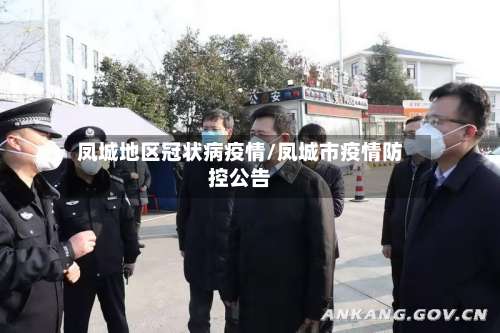 凤城地区冠状病疫情/凤城市疫情防控公告-第1张图片