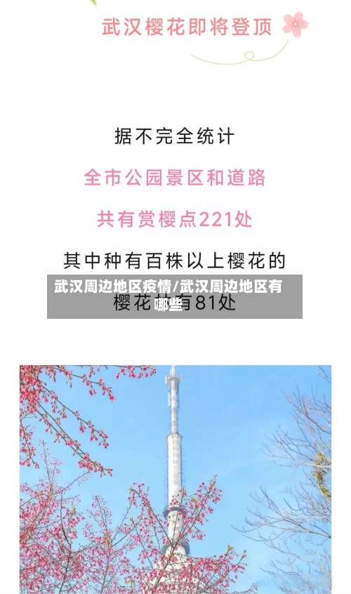 武汉周边地区疫情/武汉周边地区有哪些-第3张图片