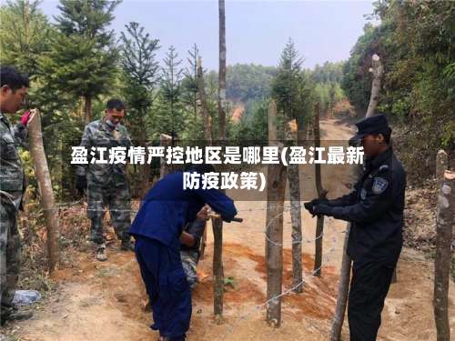 盈江疫情严控地区是哪里(盈江最新防疫政策)-第2张图片