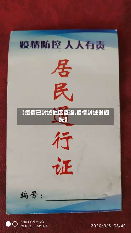 【疫情已封城地区查询,疫情封城时间线】-第3张图片