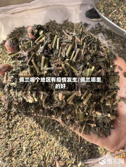 佩兰哪个地区有疫情发生/佩兰哪里的好-第2张图片