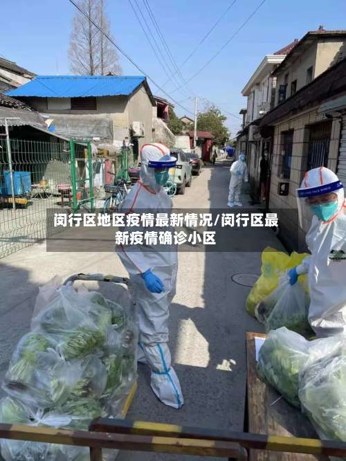 闵行区地区疫情最新情况/闵行区最新疫情确诊小区-第2张图片