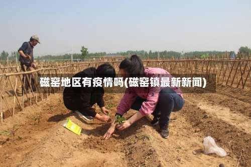 磁窑地区有疫情吗(磁窑镇最新新闻)-第3张图片