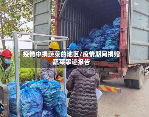 疫情中捐蔬菜的地区/疫情期间捐赠蔬菜事迹报告-第2张图片