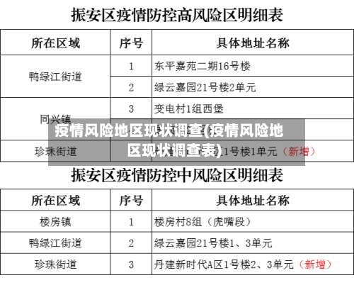 疫情风险地区现状调查(疫情风险地区现状调查表)-第3张图片