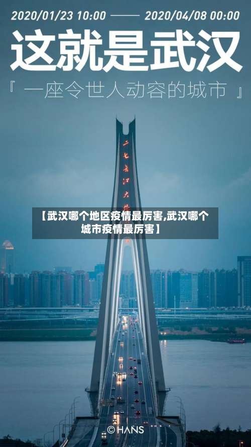 【武汉哪个地区疫情最厉害,武汉哪个城市疫情最厉害】-第1张图片