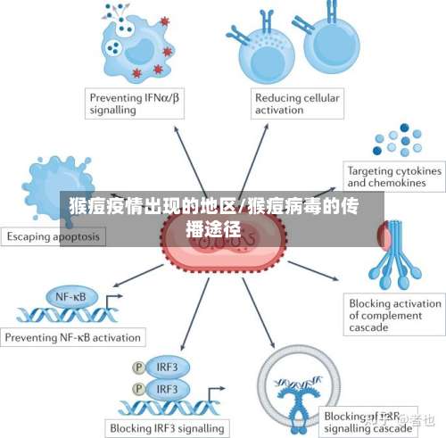 猴痘疫情出现的地区/猴痘病毒的传播途径-第1张图片