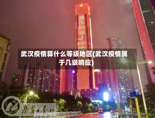 武汉疫情算什么等级地区(武汉疫情属于几级响应)-第1张图片