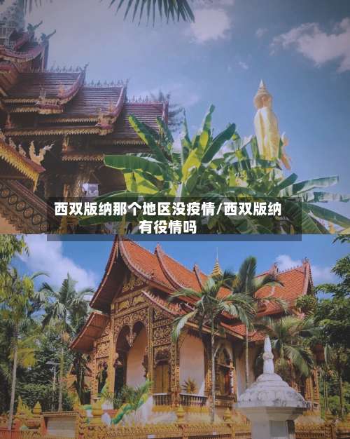 西双版纳那个地区没疫情/西双版纳有役情吗-第1张图片