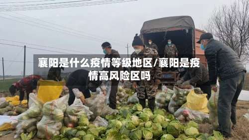 襄阳是什么疫情等级地区/襄阳是疫情高风险区吗-第1张图片