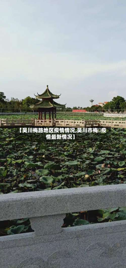 【吴川梅路地区疫情情况,吴川市梅菉疫情最新情况】-第1张图片
