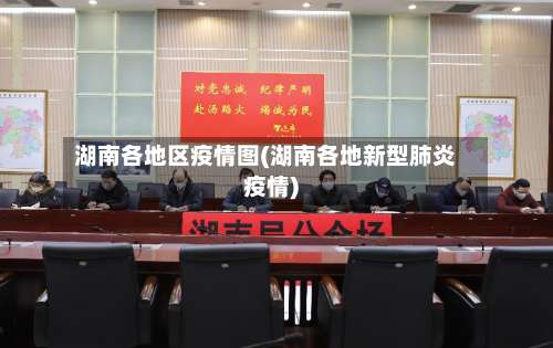 湖南各地区疫情图(湖南各地新型肺炎疫情)-第1张图片