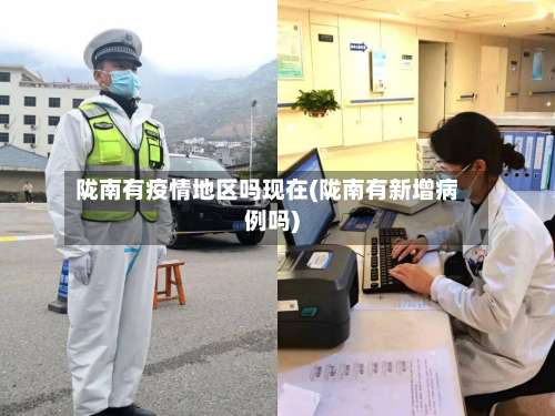 陇南有疫情地区吗现在(陇南有新增病例吗)-第2张图片